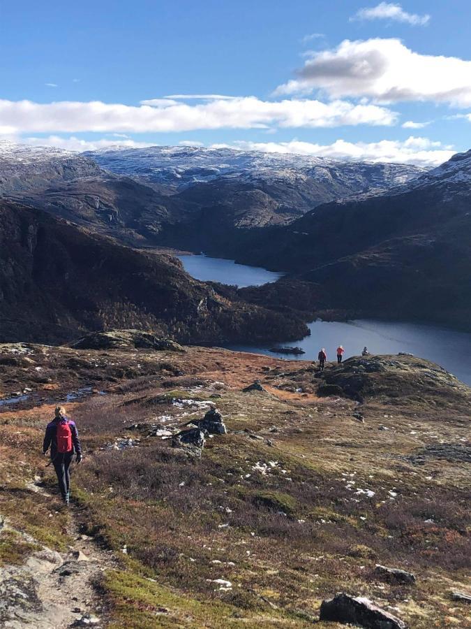 Vatnahalsen Hoyfjellshotell Myrdal Εξωτερικό φωτογραφία