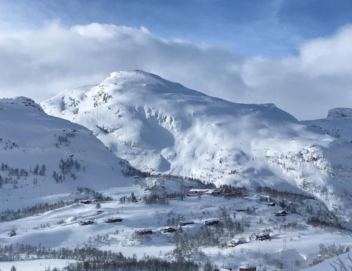 Vatnahalsen Hoyfjellshotell Myrdal Εξωτερικό φωτογραφία