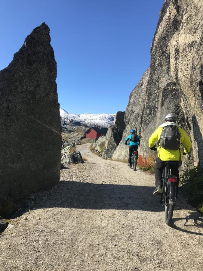 Vatnahalsen Hoyfjellshotell Myrdal Εξωτερικό φωτογραφία