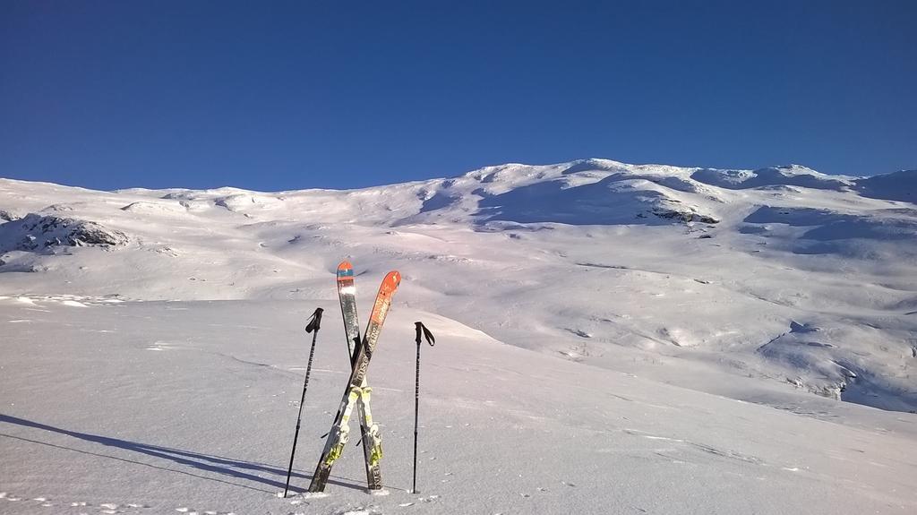 Vatnahalsen Hoyfjellshotell Myrdal Εξωτερικό φωτογραφία