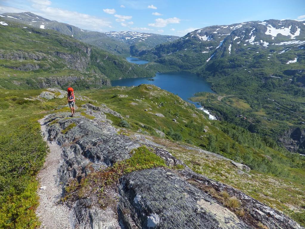 Vatnahalsen Hoyfjellshotell Myrdal Εξωτερικό φωτογραφία