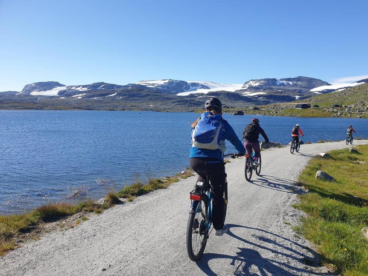 Vatnahalsen Hoyfjellshotell Myrdal Εξωτερικό φωτογραφία