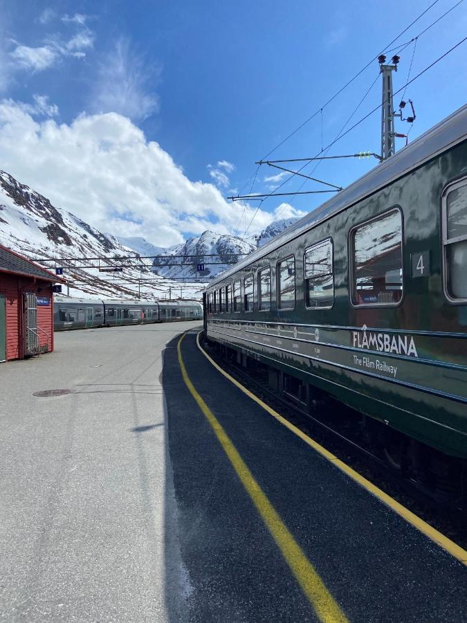 Vatnahalsen Hoyfjellshotell Myrdal Εξωτερικό φωτογραφία