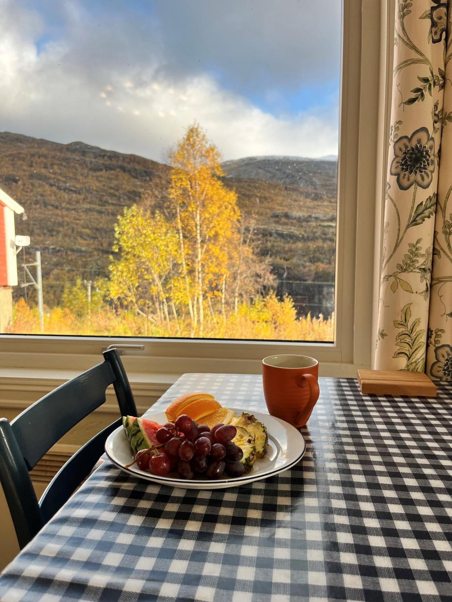 Vatnahalsen Hoyfjellshotell Myrdal Εξωτερικό φωτογραφία
