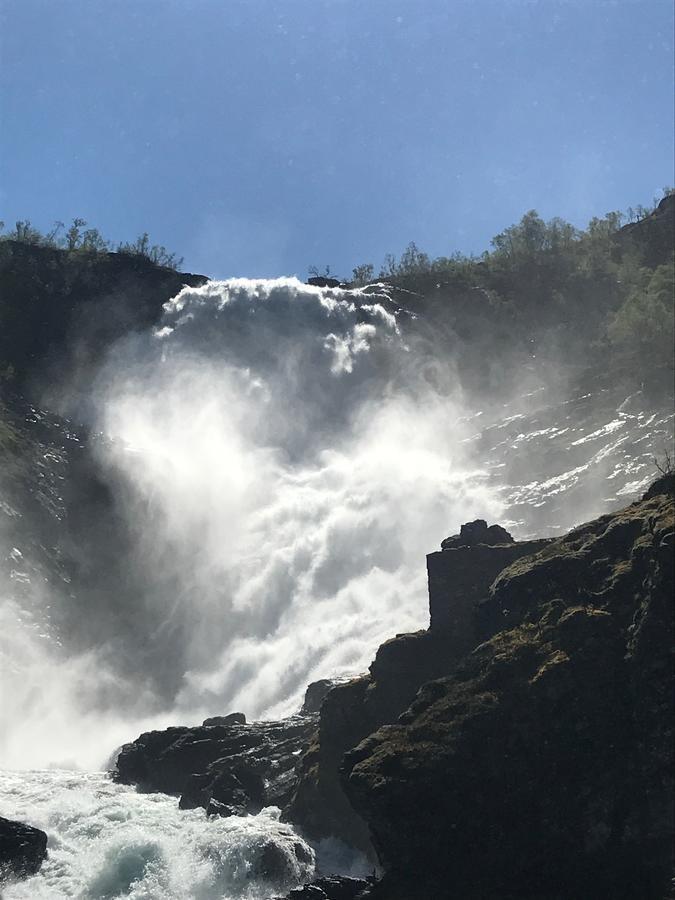 Vatnahalsen Hoyfjellshotell Myrdal Εξωτερικό φωτογραφία
