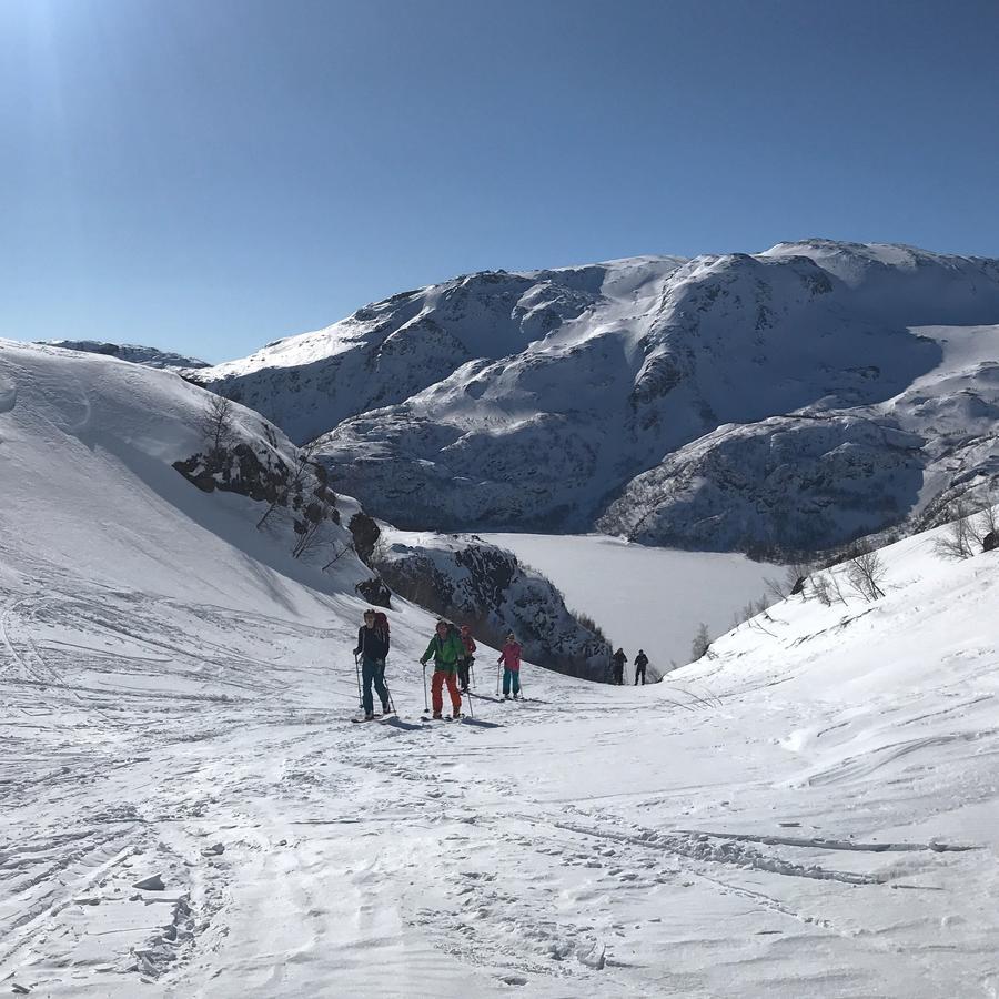 Vatnahalsen Hoyfjellshotell Myrdal Εξωτερικό φωτογραφία